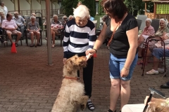 Kutyaterápiás programok az idősek otthonában